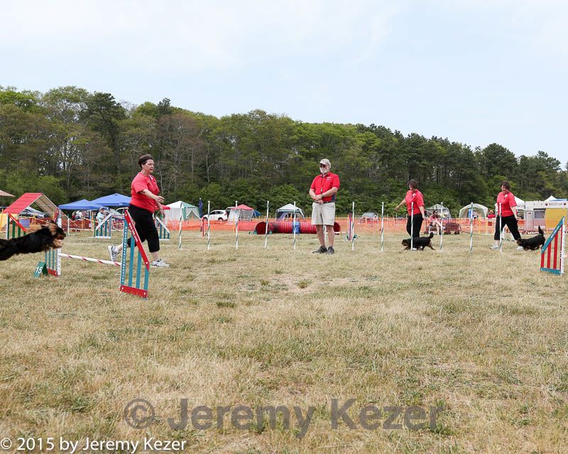 20150612-cckcmc-0111.jpg