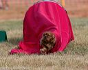 20150613-cckc-0009