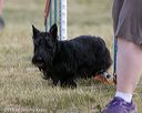 20150613-cckc-0025