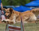 20150613-cckc-0058