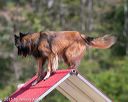 20150613-cckc-0294