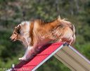 20150613-cckc-0309