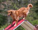 20150613-cckc-0321