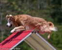 20150613-cckc-0337