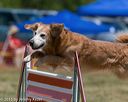 20150613-cckc-0346