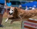 20150613-cckc-0347