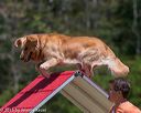 20150613-cckc-0350