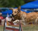 20150613-cckc-0360