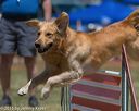 20150613-cckc-0361