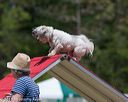 20150613-cckc-0390