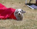 20150613-cckc-0395