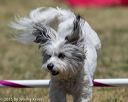20150613-cckc-0396