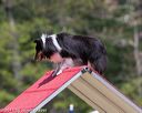20150613-cckc-0399