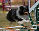 20150613-cckc-0400