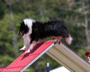 20150613-cckc-0407