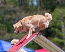 20150613-cckc-0427