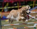 20150613-cckc-0428