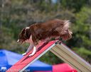 20150613-cckc-0445