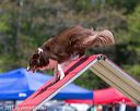20150613-cckc-0446