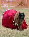 20150613-cckc-0463