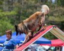 20150613-cckc-0469