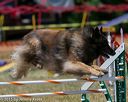20150613-cckc-0471