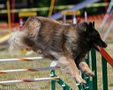 20150613-cckc-0472