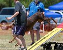 20150613-cckc-0477