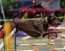20150613-cckc-0478