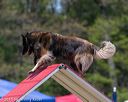 20150613-cckc-0487