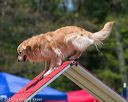 20150613-cckc-0498