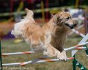 20150613-cckc-0499