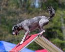 20150613-cckc-0505