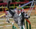 20150613-cckc-0507