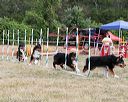 20150614-cckcmc-0001