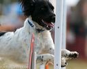 20150614-cckc-0037