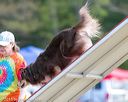 20150614-cckc-0071