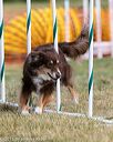 20150614-cckc-0073