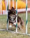 20150614-cckc-0074