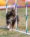 20150614-cckc-0075