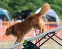 20150614-cckc-0079