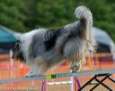 20150614-cckc-0098