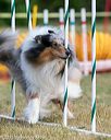 20150614-cckc-0101