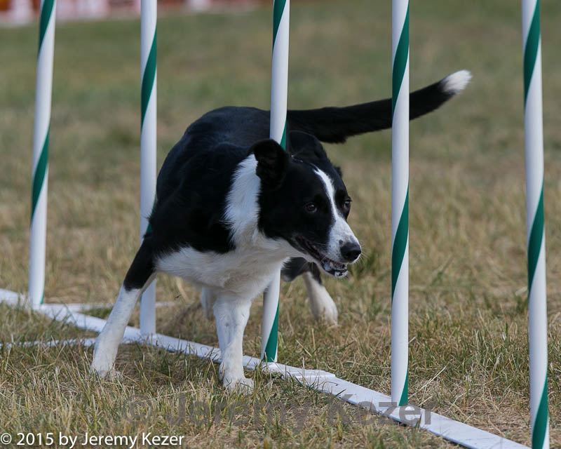 20150614-cckc-0020.jpg
