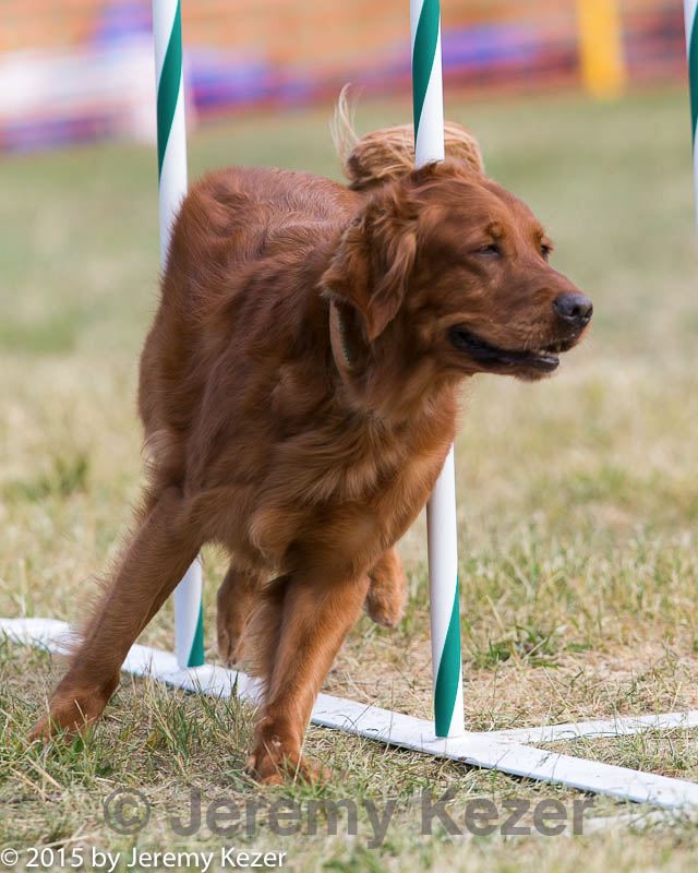 20150614-cckc-0057.jpg