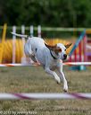 20150614-cckc-0009