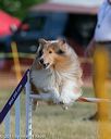 20150614-cckc-0012