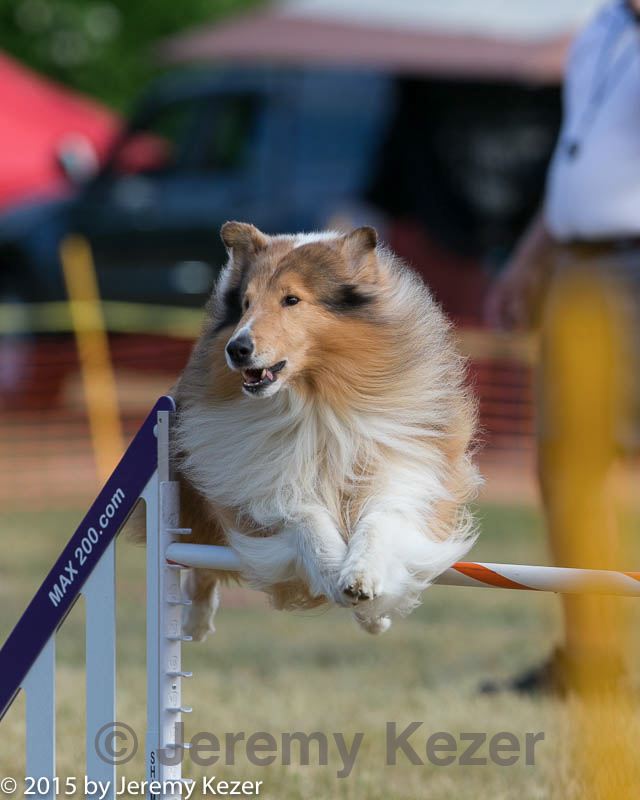 20150614-cckc-0012.jpg