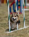 20150614-cckc-1840