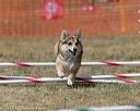 20150614-cckc-1842